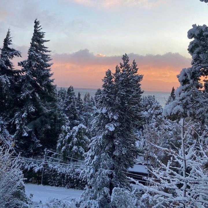 Bed and Breakfast Pajaro Azul San Carlos de Bariloche Exterior foto