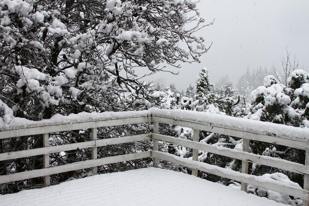 Bed and Breakfast Pajaro Azul San Carlos de Bariloche Exterior foto